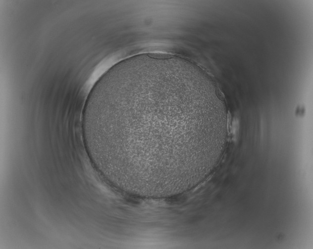 X0000110950099200907022207