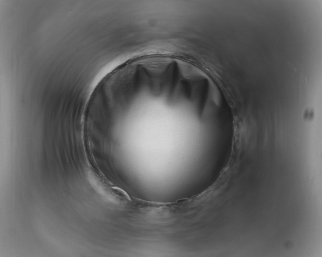 X0000110950100200907022207