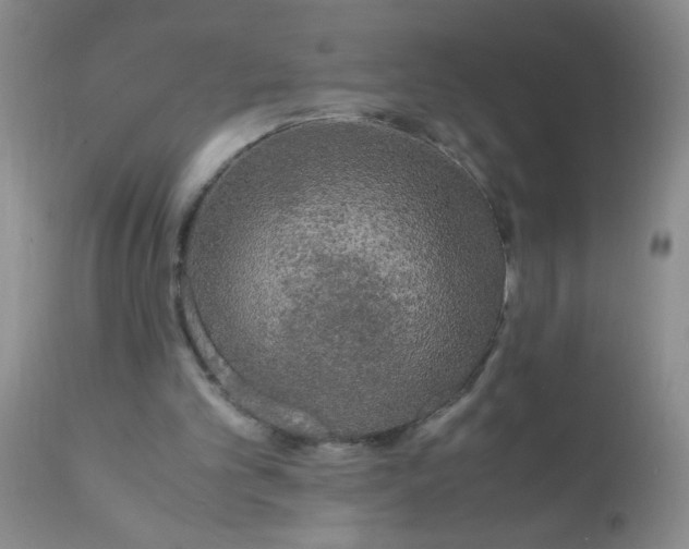 X0000110950101200907022207