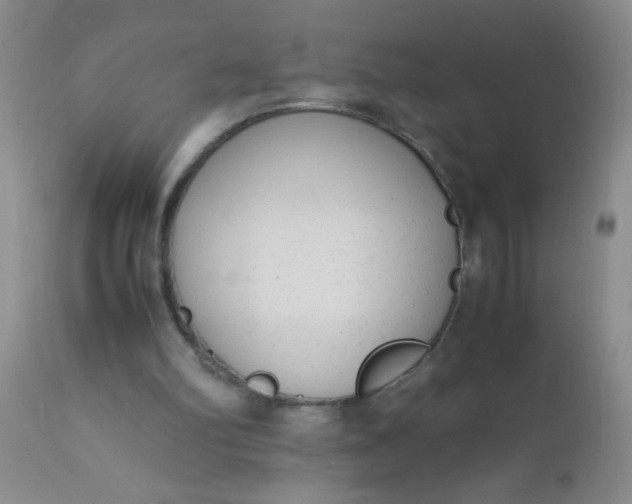 X0000110950102200907022207