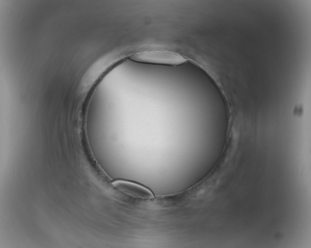 X0000110950103200907022207