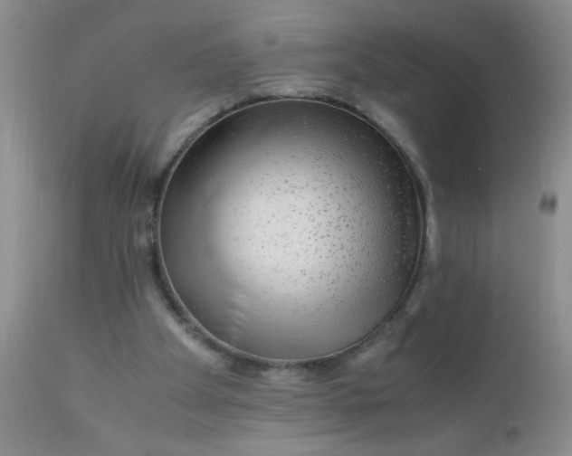 X0000110950105200907022207