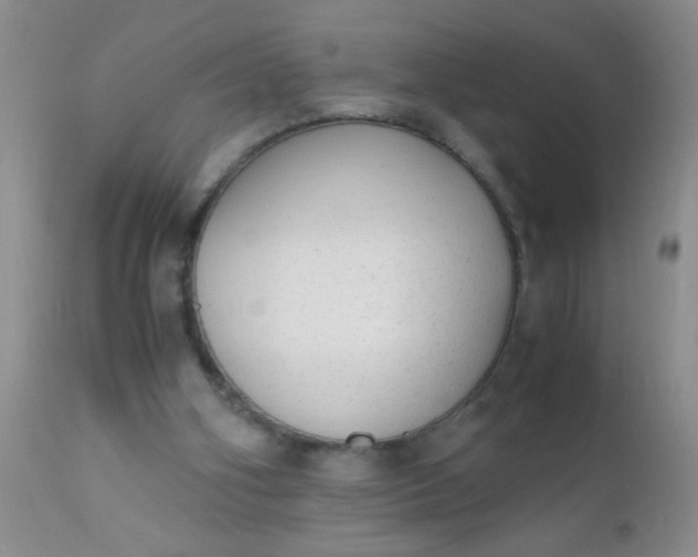 X0000110950106200907022207