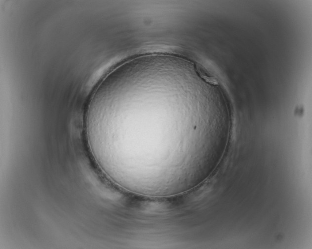 X0000110950107200907022207