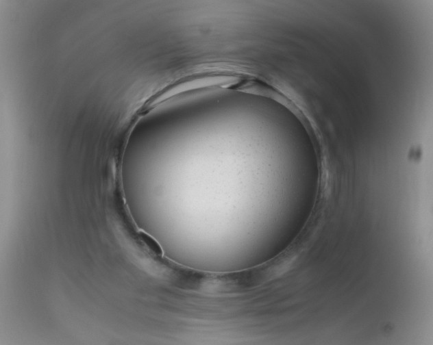 X0000110950109200907022207