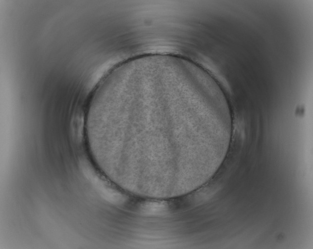 X0000110950110200907022206