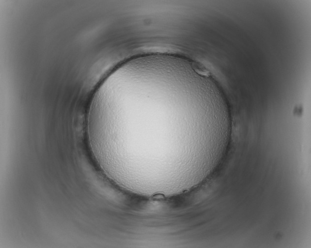 X0000110950111200907022206