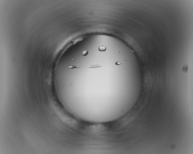 X0000110950112200907022206