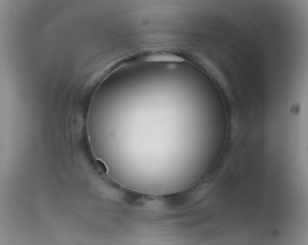 X0000110950113200907022206