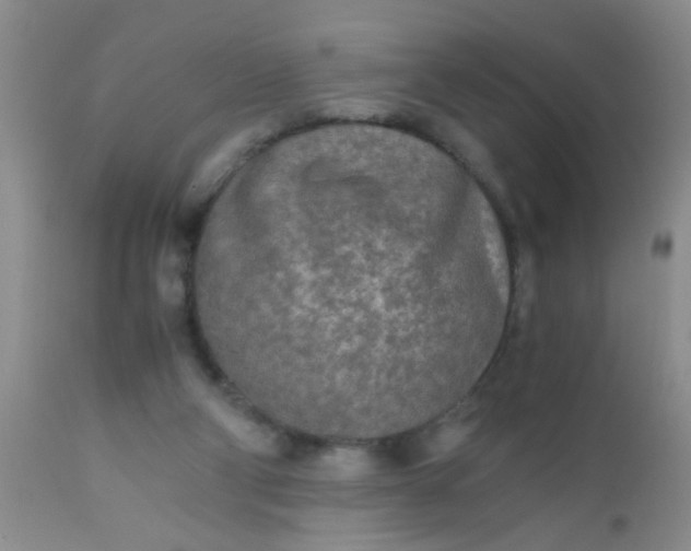 X0000110950114200907022206