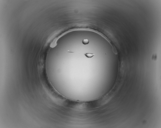 X0000110950116200907022206