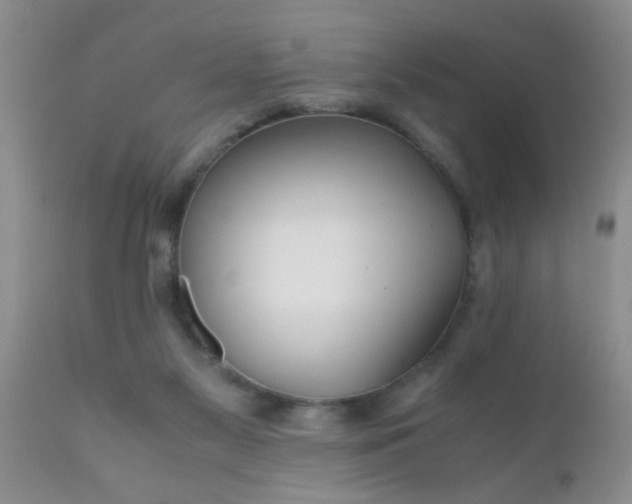 X0000110950117200907022206