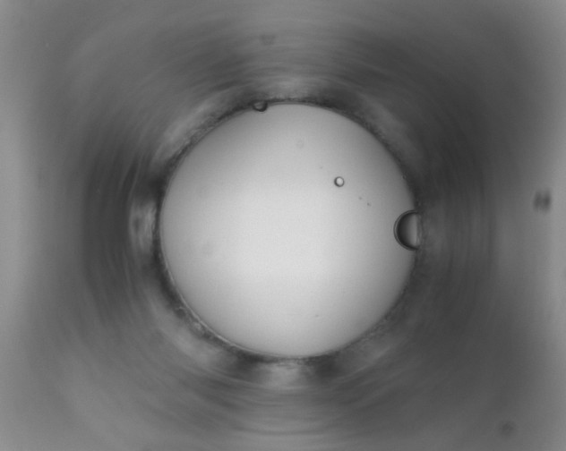 X0000110950118200907022206