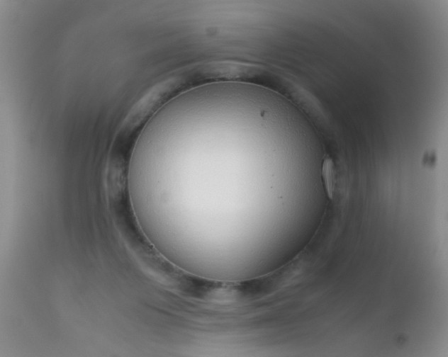 X0000110950119200907022206