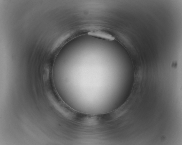 X0000110950120200907022206