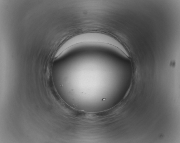 X0000110950121200907022206