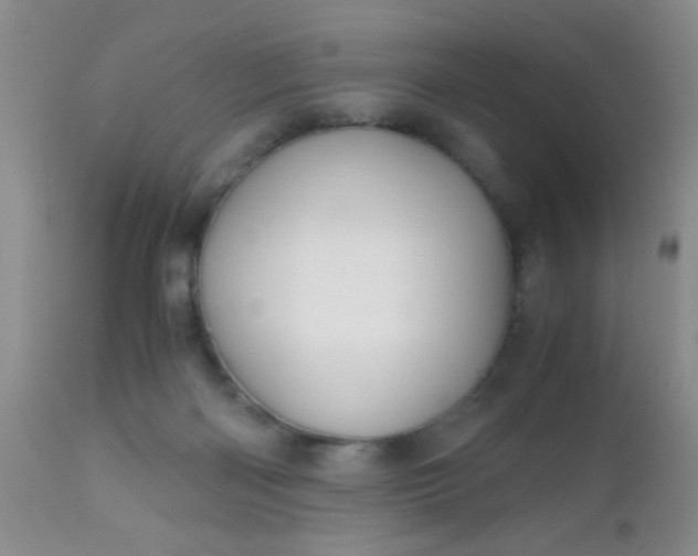 X0000110950122200907022206