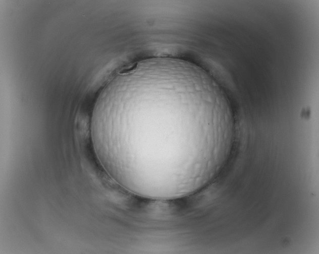 X0000110950123200907022206