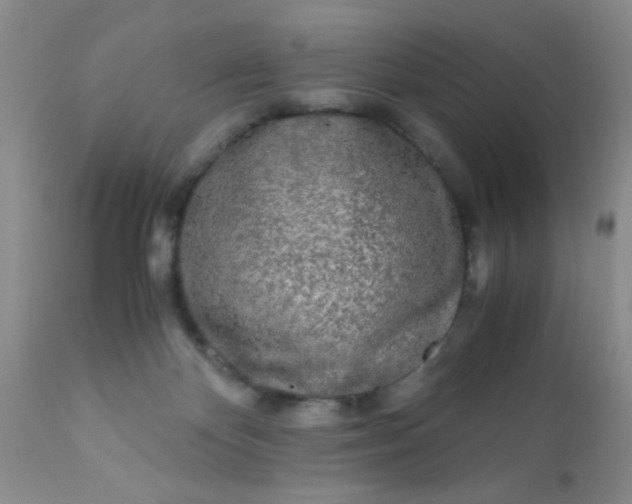 X0000110950124200907022206