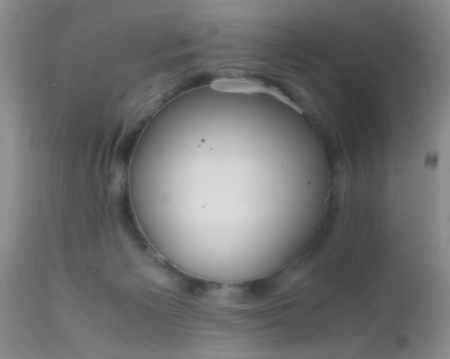 X0000110950125200907022206