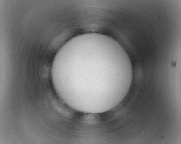 X0000110950126200907022206