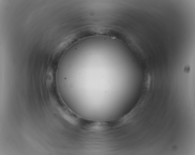 X0000110950128200907022206