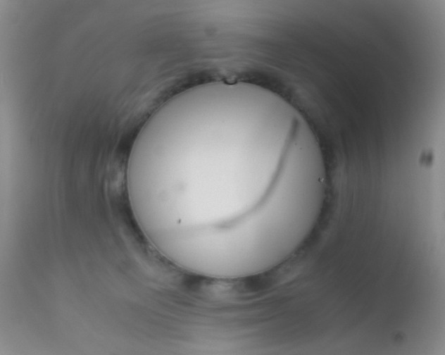 X0000110950129200907022206