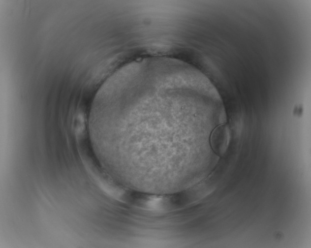 X0000110950130200907022206