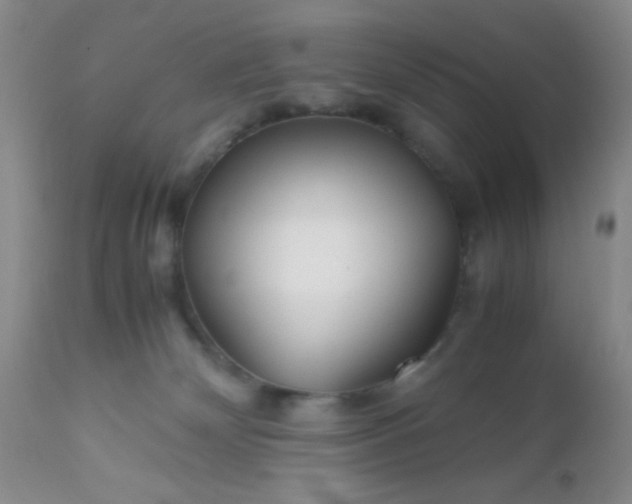 X0000110950132200907022206