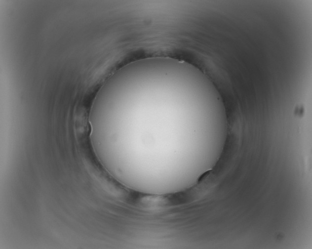 X0000110950133200907022206