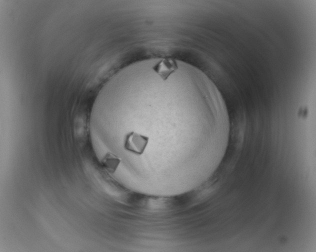 X0000110950134200907022206