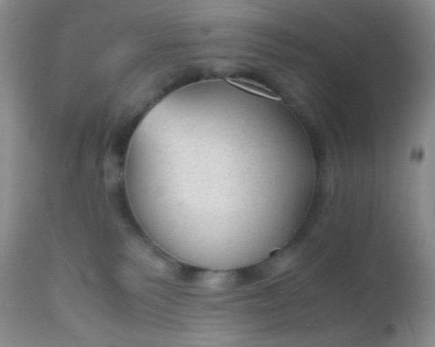 X0000110950135200907022206