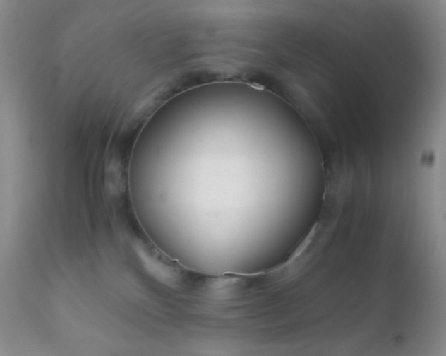 X0000110950136200907022206