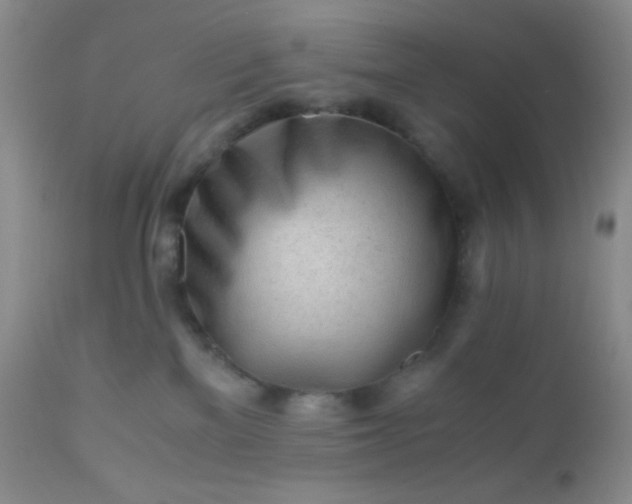 X0000110950137200907022206