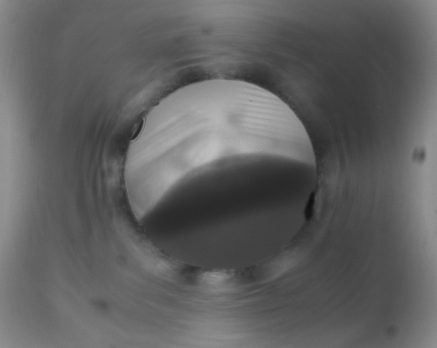 X0000110950139200907022206