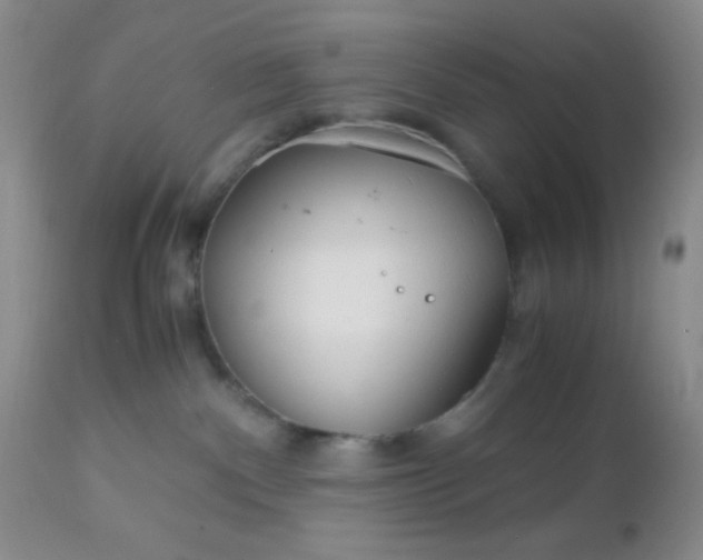 X0000110950140200907022206