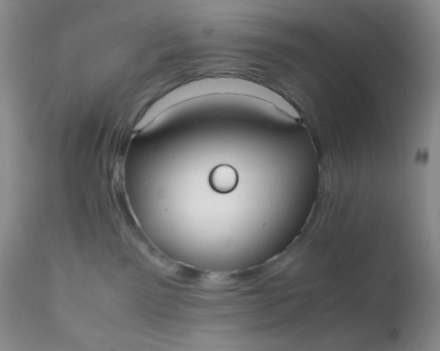 X0000110950141200907022206