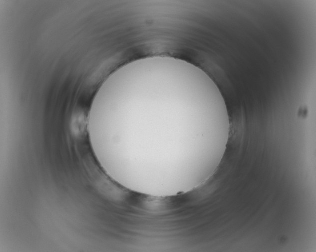 X0000110950142200907022206