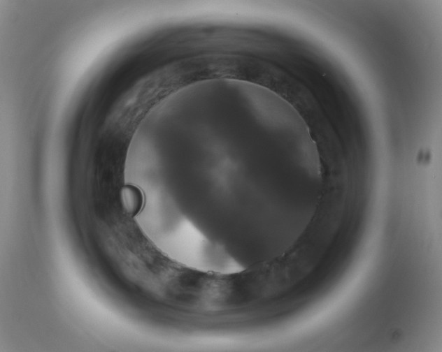 X0000110950143200907022206