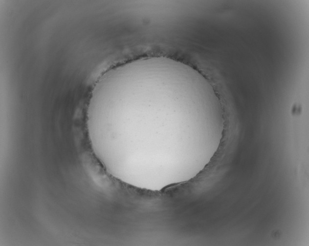 X0000110950144200907022206