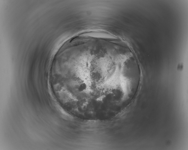 X0000110950145200907022205