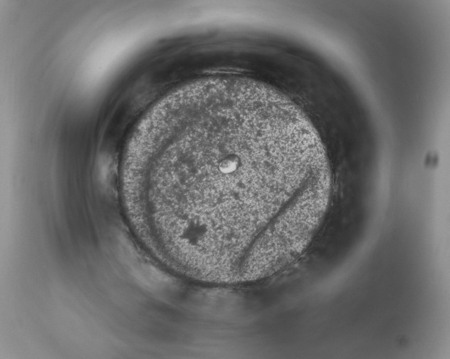 X0000110950146200907022205