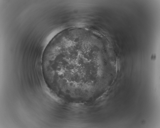 X0000110950147200907022205