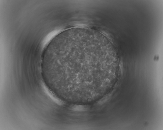 X0000110950149200907022205