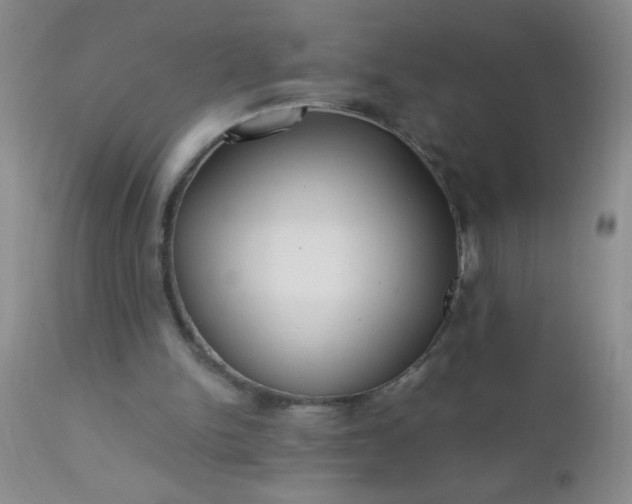 X0000110950150200907022205