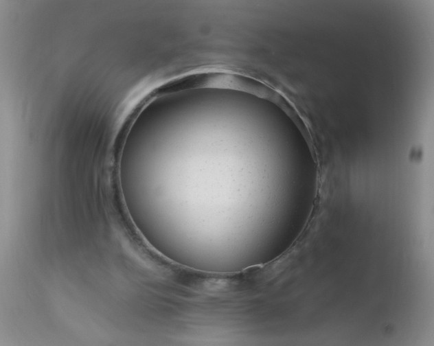 X0000110950152200907022205