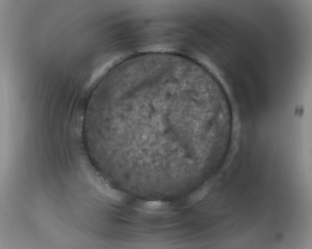 X0000110950153200907022205