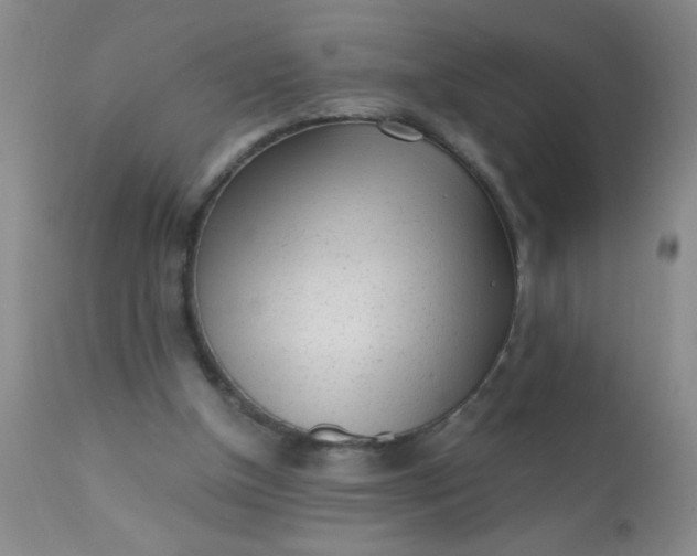 X0000110950154200907022205