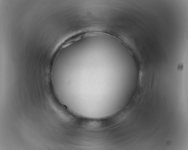 X0000110950156200907022205