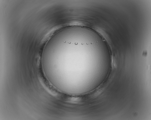 X0000110950157200907022205